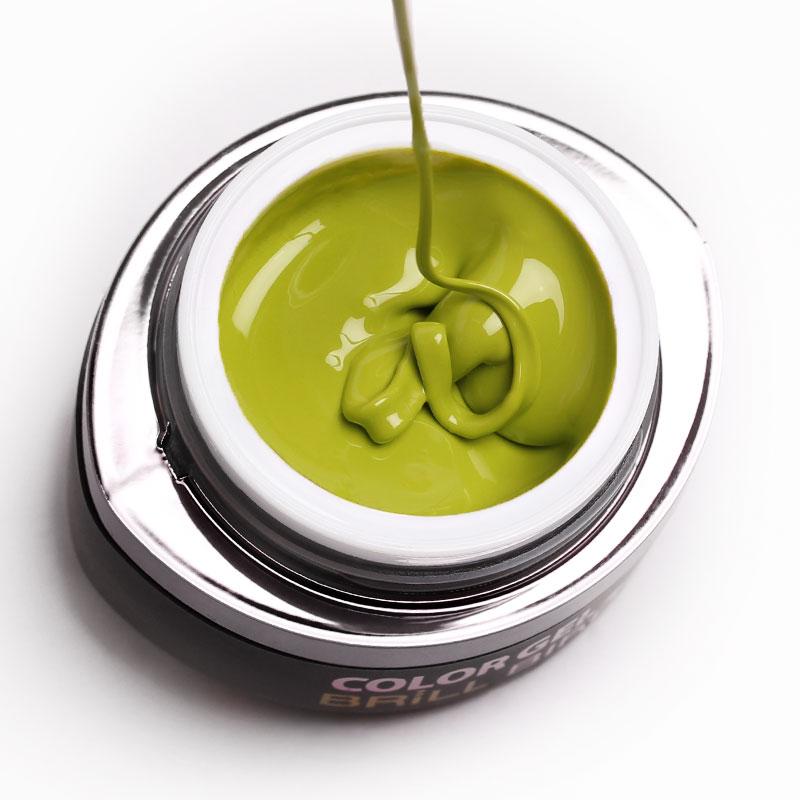 Brillbird - GO22 COLOR GEL 4,5ml