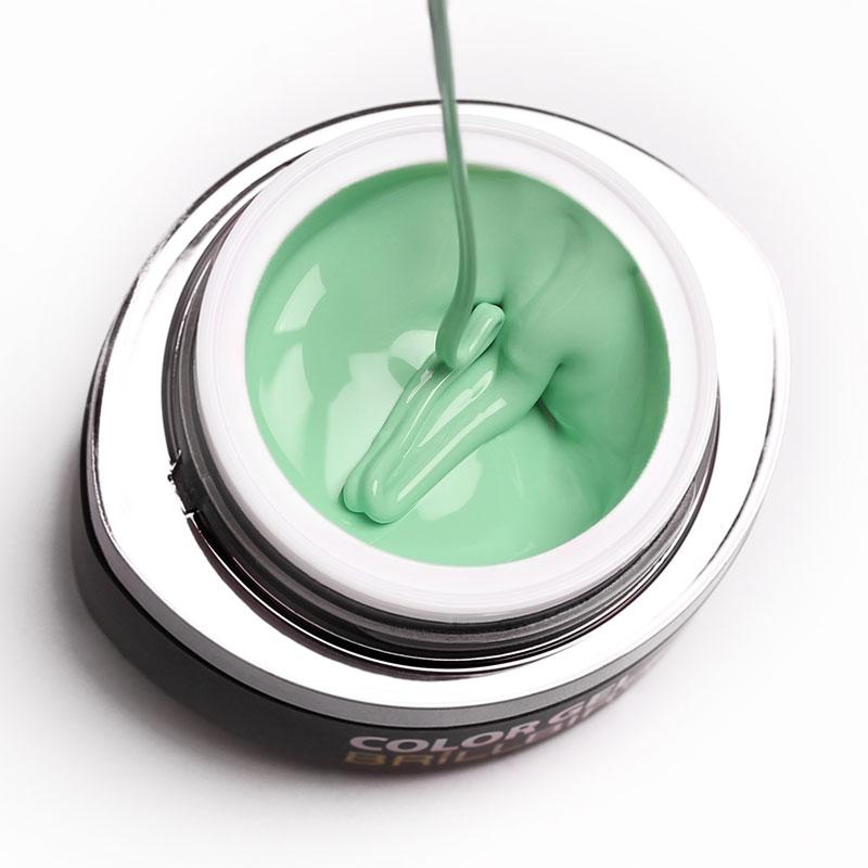 Brillbird - GO31 COLOR GEL 4,5ML