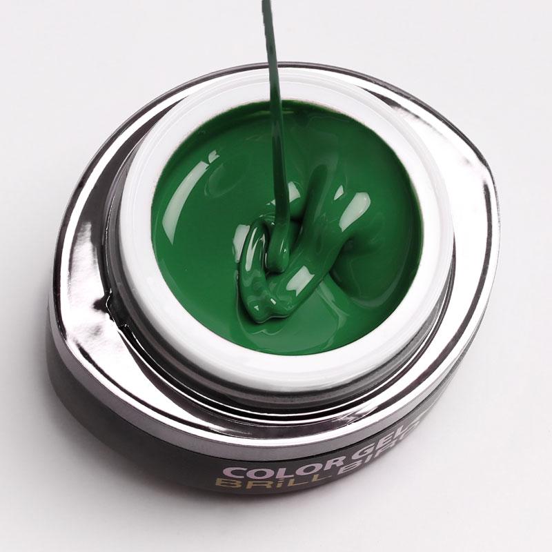 Brillbird - GO21 COLOR GEL 4,5ML