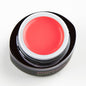 Brillbird - GO123 COLOR GEL 4,5ML